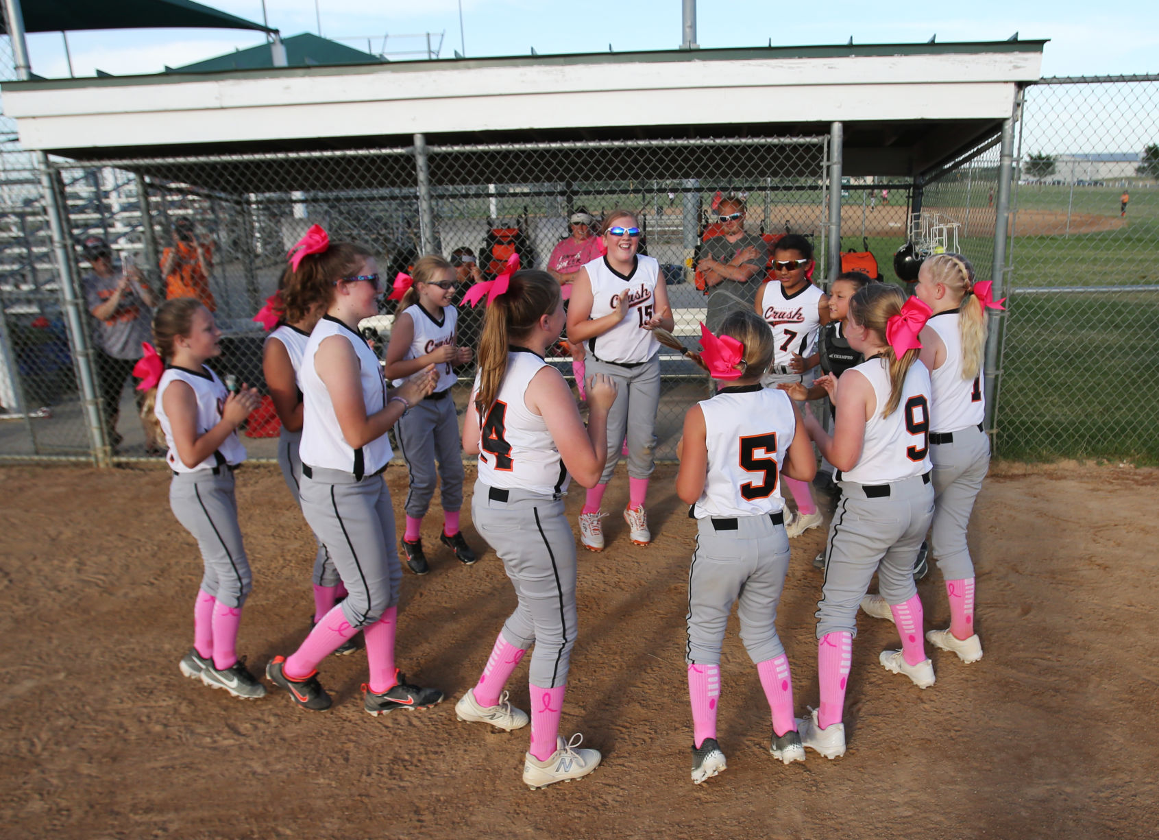 p06-26-20SMFpinkout4.jpg